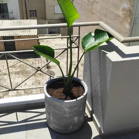 Apartment My In Greece *