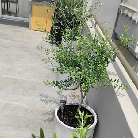 Apartment My In Greece *